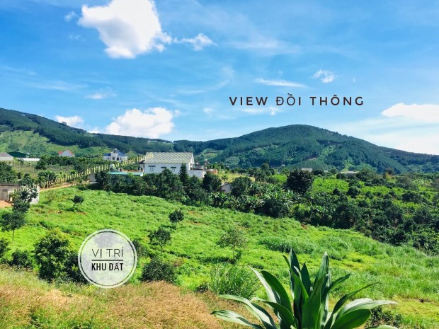 Đất Đông Thanh, Cách Uỷ Ban Đông Thanh 500m, View Đồi Thông, 670M2, 200M2 Thổ Cư, Giá Sang Nhanh 1.52 tỷ