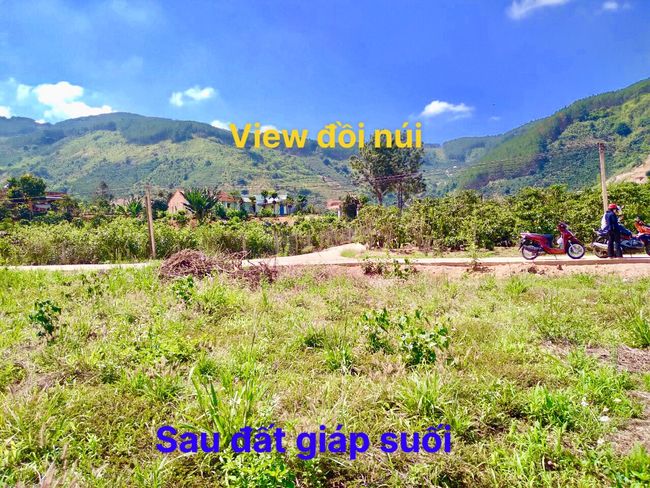 Chính chủ hạ giá cần đẩy nhanh 2 lô đất thổ cư giá rẻ tại xã Đông Thanh Lâm Hà Lâm Đồng Đà Lạt