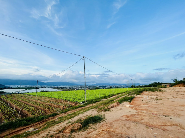 Bán đất Lâm Đồng hơn 1000m2 đất huyện Đơn Dương giá rẻ, view đồi thông săn mây.