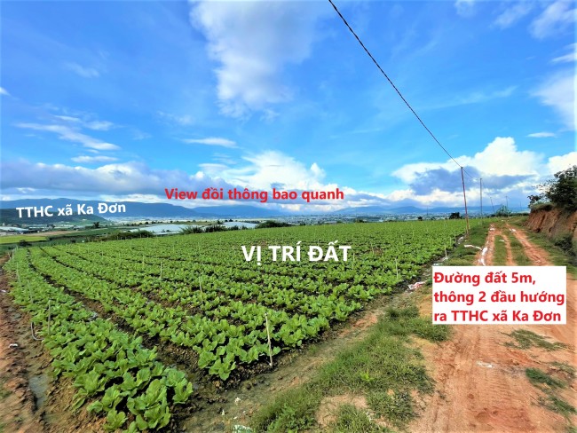 Đất vườn huyện Đơn Dương giá rẻ, chỉ 1,6km đến TTHC xã Ka Đơn, view đồi thông bao quanh siêu đẹp