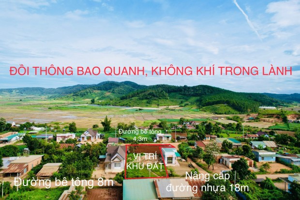 Đúng đắn hay sai lầm khi đầu tư, kết hợp an cư và kinh doanh BĐS này tại xã Tu Tra, huyện Đơn Dương???