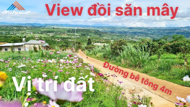 Bán đất xã Đan Phượng, huyện Lâm Hà, sổ hồng riêng đất thổ cư, view săn mây tại nhà