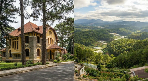 Bất Động Sản Phường 10 Đà Lạt: "Thủ Phủ" Dinh Thự Cổ & Cửa Ngõ "Triệu View" Đèo Mimosa