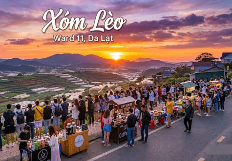 Bất Động Sản Phường 11 Đà Lạt: Thiên Đường "Săn Mây" Xóm Lèo & Thung Lũng Đèn Rực Rỡ