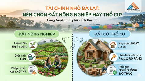 “Đất rẻ Đà Lạt” có thật sự là cơ hội? Hiểu đúng trước khi xuống tiền