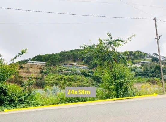 Bán Đất Biệt Thự View Rừng Thông – Xã Xuân Thọ (Phường Xuân Trường), TP. Đà Lạt