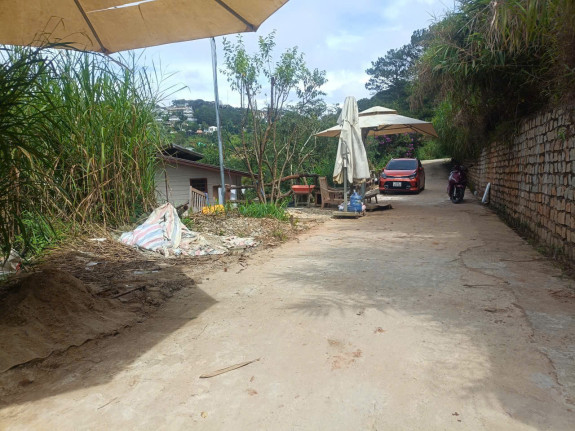 Lô Đất Nông Nghiệp Khe Sanh – Phường 10, Đà Lạt | View Rừng Thông Thoáng Đẹp, Tiềm Năng Cho Nhà Đầu Tư Xanh