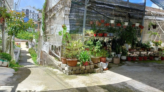 Nhà Cấp 4 & Đất Mặt Tiền Yersin – Phường 9, Đà Lạt – Quỹ Đất Hiếm, Sát Hồ Xuân Hương