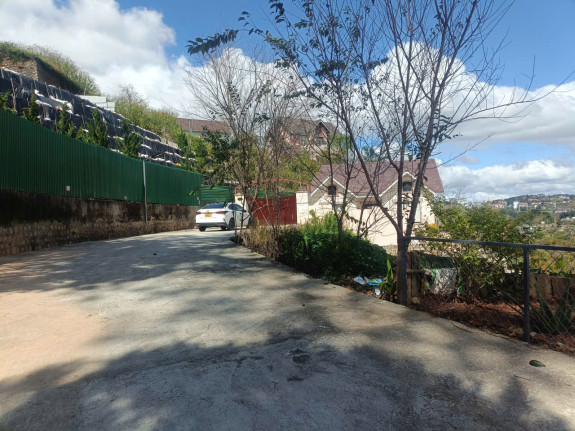 Đất Đường 3 Tháng 4 – Phường 3, Tp. Đà Lạt Diện Tích Lớn Hơn 1.000m² View Rừng Thông