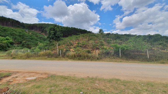 Đất Nông Nghiệp View Hồ Kala – Diện Tích Lớn – Mặt Tiền Đường Nhựa – Di Linh, Lâm Đồng