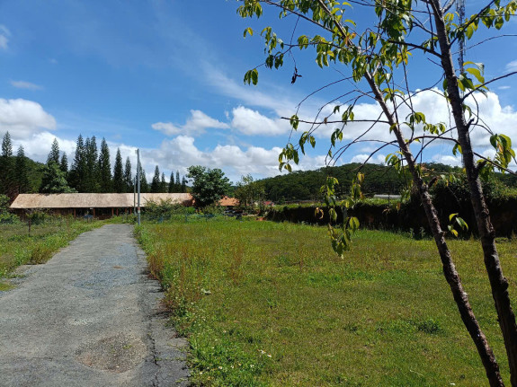 Đất Măng Lin Full Thổ Cư – Phường 7, Tp. Đà Lạt Nở Hậu Đẹp – Đường Nhựa 5m