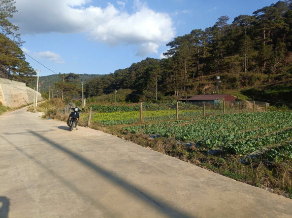 Đất Liên Kế Gần Cao Tốc Liên Khương – Prenn, Hiệp An, Đức Trọng – View Rừng Thông, Sổ Hồng Riêng