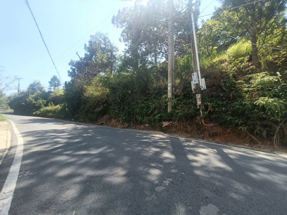 Đất Mặt Tiền Đống Đa – Phường 3, TP. Đà Lạt – Quy Hoạch Biệt Lập, Tiềm Năng Kinh Doanh Cao