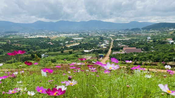 Đất 2 Lô Liền Kề Nam Ban, Có Thổ Cư, Đất Dài Đẹp, Phù Hợp Đầu Tư & Nghỉ Dưỡng.