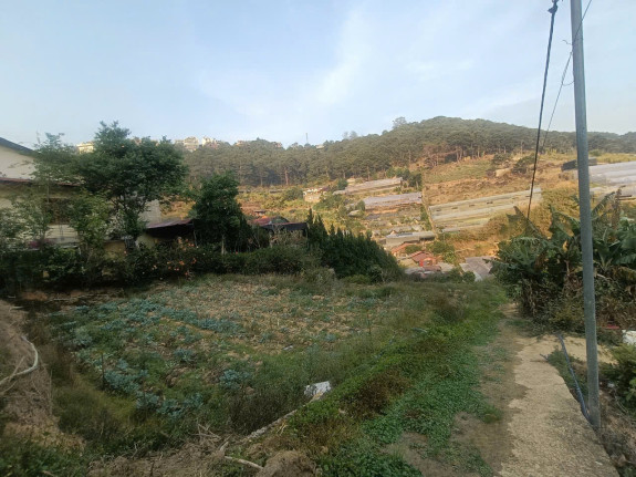 Đất Nông Nghiệp Mặt Tiền Trần Thái Tông, P.10, TP. Đà Lạt – Diện Tích Lớn, View Rừng Thông, Có Suối