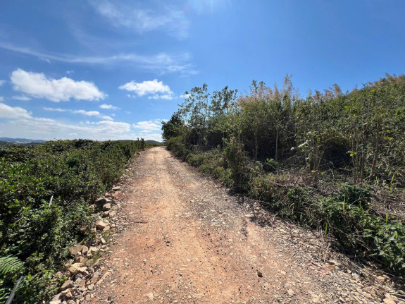 Đất Nông Nghiệp Sổ Riêng Thị Trấn Lạc Dương – Diện Tích Lớn, View Thoáng