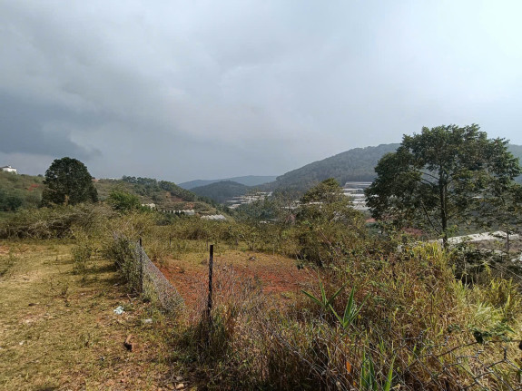 Đất Biệt Thự 3 Mặt Tiền Măng Lin – View Đồi Thông, Không Gian Nghỉ Dưỡng Lý Tưởng