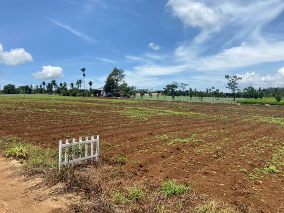 Đất 2 Lô Liền Kề Nghỉ Dưỡng Hồ Phúc Thọ, Lâm Hà – Hơn 1.070m², Sẵn 200m² Thổ Cư, Khai Thác Ngay