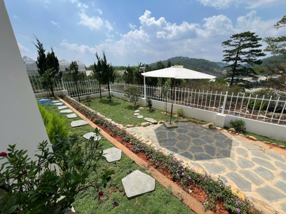 Bán Villa Măng Lin, Phường 7, Đà Lạt – View đồi thông, full thổ cư, sổ hồng riêng