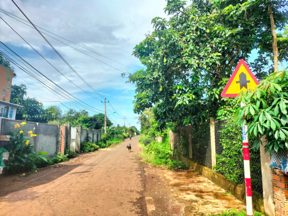 Bán lô đất 177m² Buôn Cuôr Đăng – gần hồ, đường đẹp, giá đầu tư