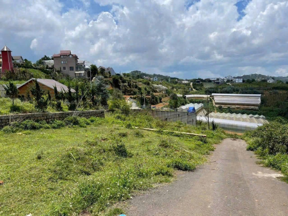 Bán đất biệt thự Măng Lin, Đà Lạt – View rừng thông, mặt tiền rộng